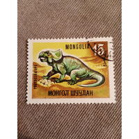 Монголия. Динозавры. Protoceraptor