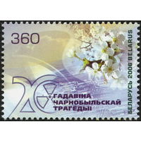 20 лет Чернобыльской трагедии Беларусь 2006 год (644)  серия из 1 марки