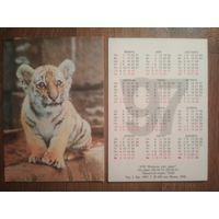 Карманный календарик.Тигр.1997 год