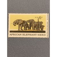 США 1970. Африканские слоны