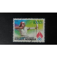 Индонезия 1969  лучница