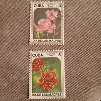 Куба 1985. Флора. Цветы