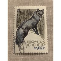 СССР 1967. Серебристо-чёрная лисица