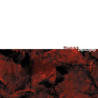 Bloodshed "Skullcrusher" 7"EP
