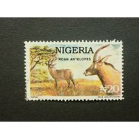 Нигерия 1993. Дикая жизнь. Фауна