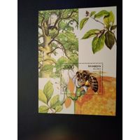 Пчелы 2004 (КП1