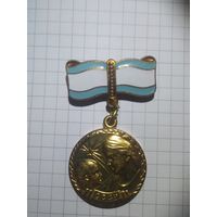 Медаль материнства 2 степени ,латунь