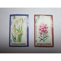 Болгария. Цветы. Флора 1982 года. Лекарственные растения