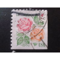США 1978 стандарт, розы