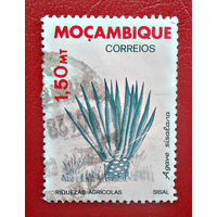 Мозамбик, 1985 год, флора, сельскохозяйственные растения