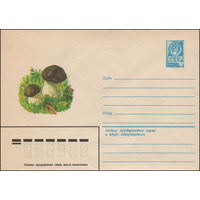 Художественный маркированный конверт СССР N 13439 (10.04.1979) [Белый гриб]
