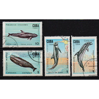 Куба 1984 г. Морская фауна.