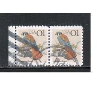 США-1991, (Мих.2149), гаш. , Стандарт, Птицы, пара(2)