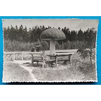 Фото на придорожной стоянке. 1940-50-е. 12х18 см.
