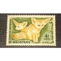 Мавритания 1960 Фауна Фенек чистая марка