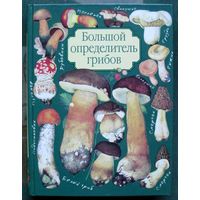 Большой определитель грибов. А. В. Юдин. Большой формат.