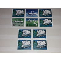 Китай 1983 Фауна Птицы Лебеди Полная серия 10 чистых марок из буклета
