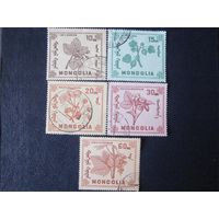 Монгольские ягоды 1968 (Монголия) 5 марок