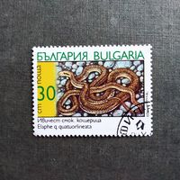 Марка Болгария 1989 год Змея