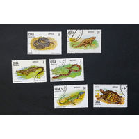 Куба 1982 г. Рептилии. Змеи. Ящерицы. Черепахи. Фауна, полная серия из 6 марок #0125-Ф2P26