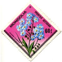 Марка МНР 1979 г. (по каталогу Mi:MN #1211), негаш. Цветы.  Myosotis Asiatica